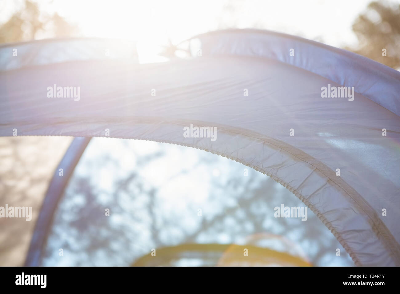 Una tenda blu in una foresta Foto Stock
