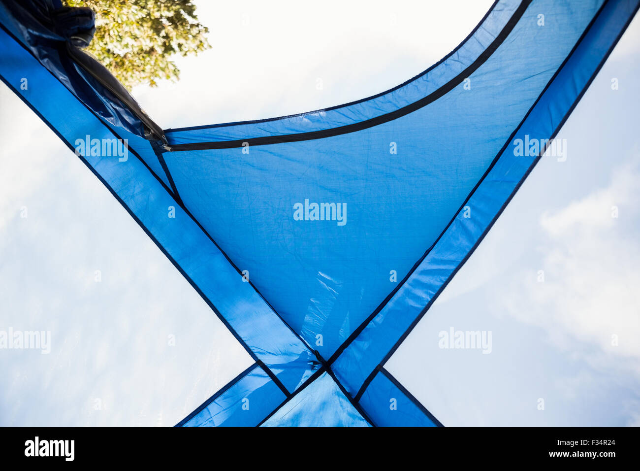 Una tenda blu in una foresta Foto Stock