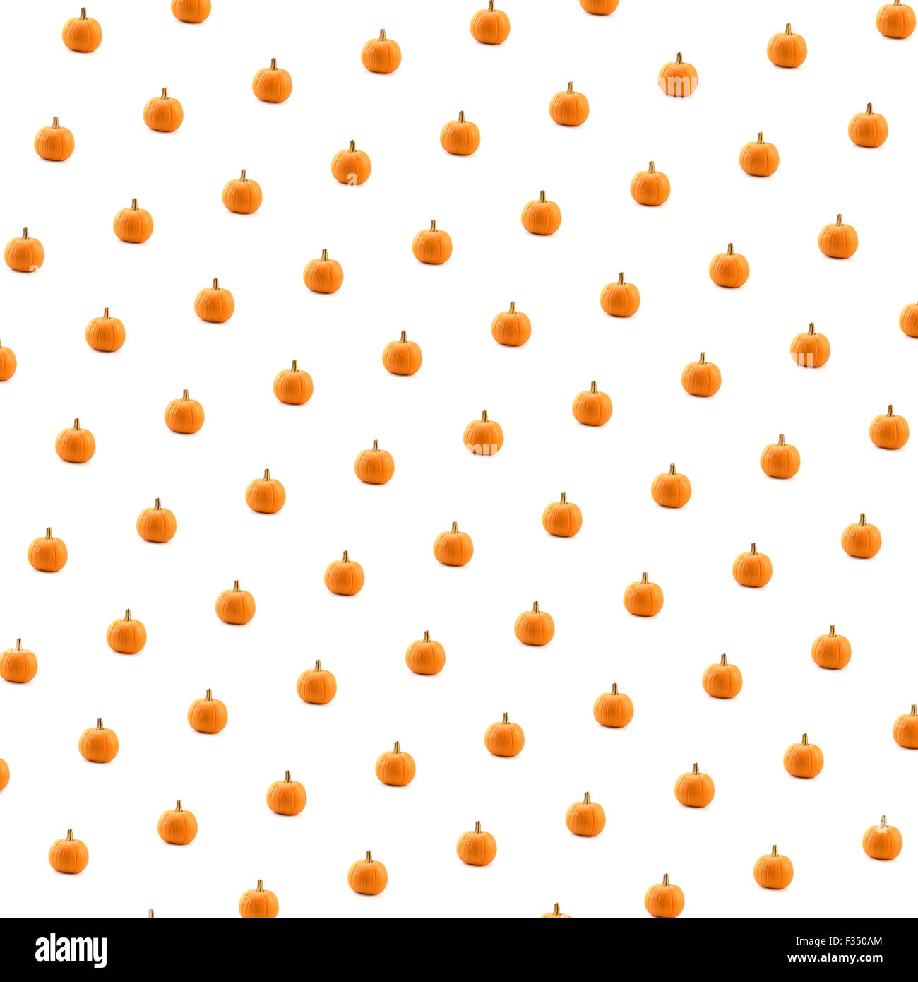 Arancione zucca contro uno sfondo bianco. Fotografato in studio in settembre 2015. Foto Stock