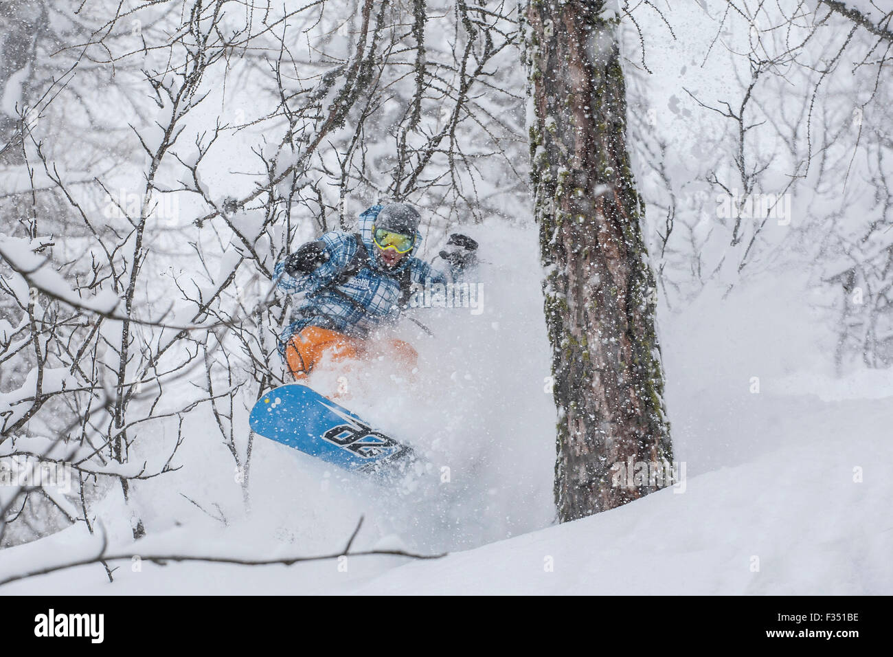 Snowboarder in polvere di neve Foto Stock