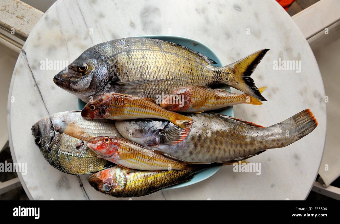 Una piastra di un assortimento di pesce appena pescato Foto Stock