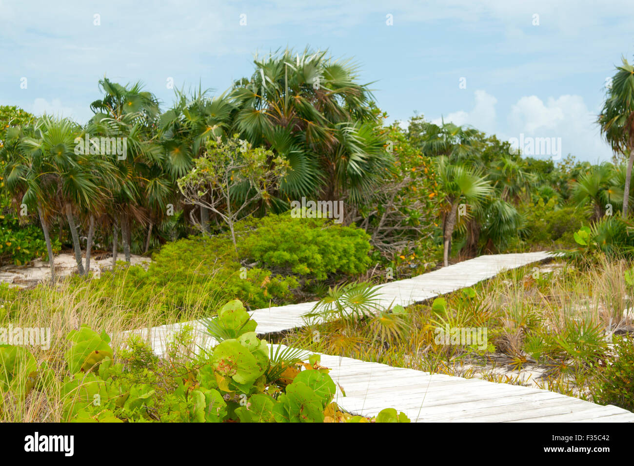 Passeggiata turistica sul Iguana Island, Providenciales, Turks & Caicos Islands Foto Stock