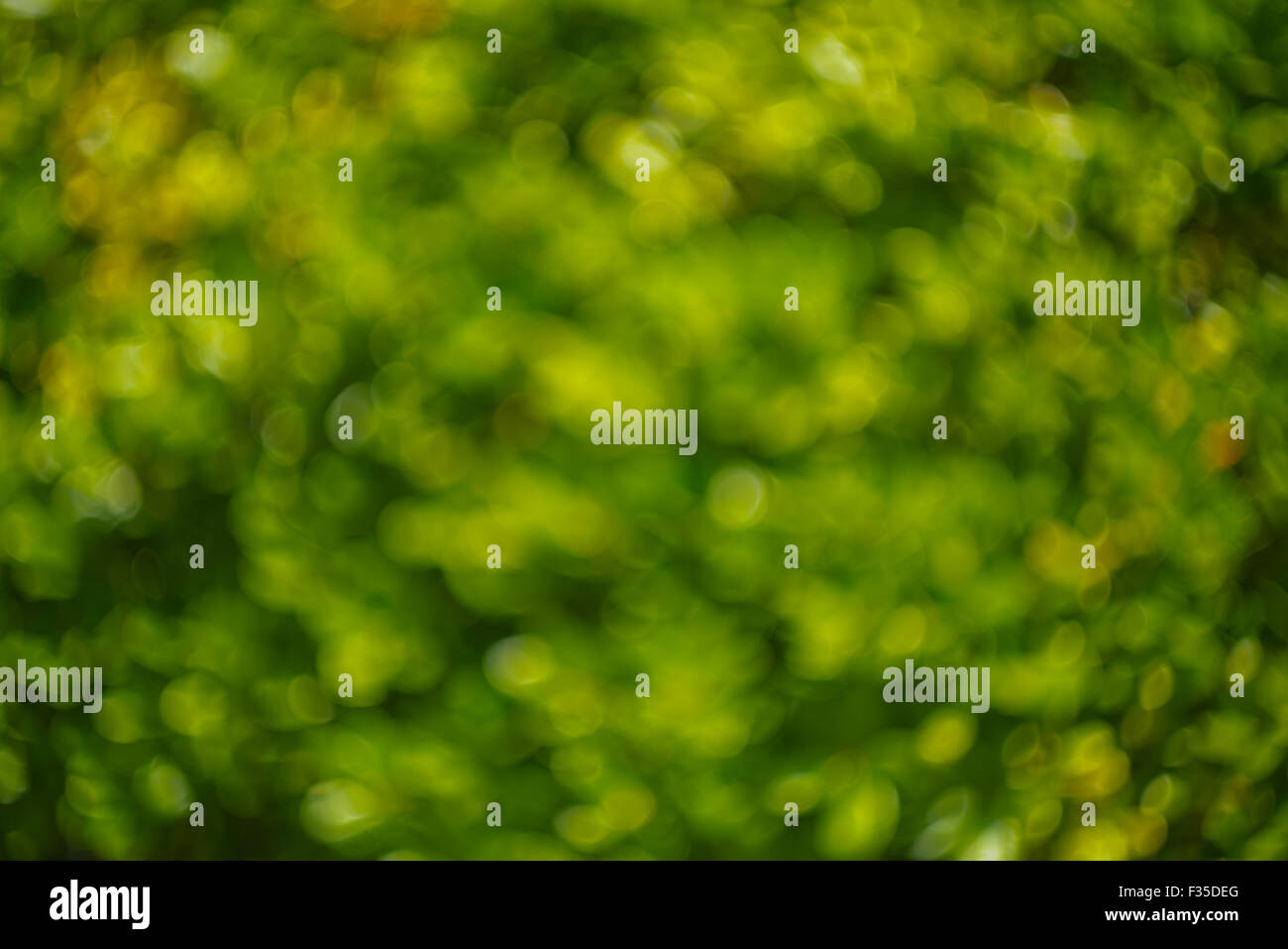 Abstract bokey di cerchi verdi Foto Stock