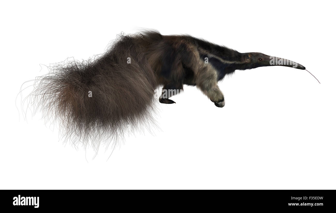 3D render digitale di un gigante anteater isolati su sfondo bianco Foto Stock