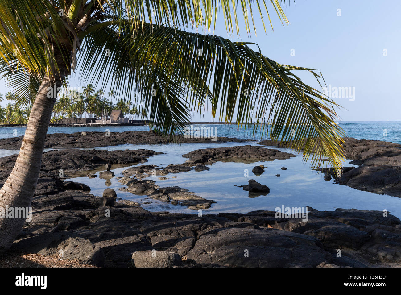 La città di rifugio come la chiamano i locali, o più correttamente Honaunau Bay, è un preferito snorkeling spot sulla Big Island. Foto Stock