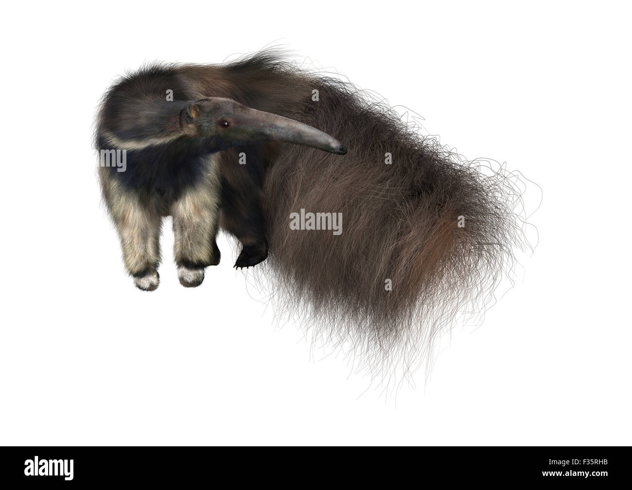 3D render digitale di un gigante anteater isolati su sfondo bianco Foto Stock