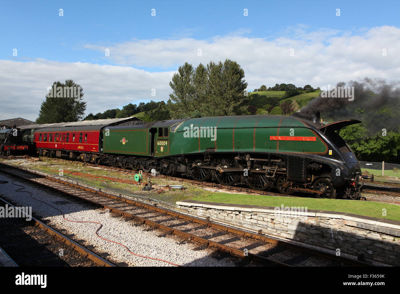 60009 Unione del Sud Africa a Buckfastleigh su Mercoledì 2 Settembre 2015 Foto Stock
