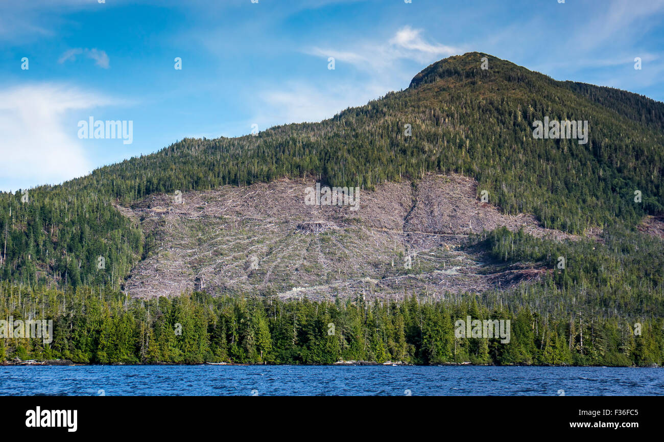 Chiara definizione nel sud-est dell Alaska a nord di Ketchikan come si vede da una barca sul passaggio interno. Foto Stock