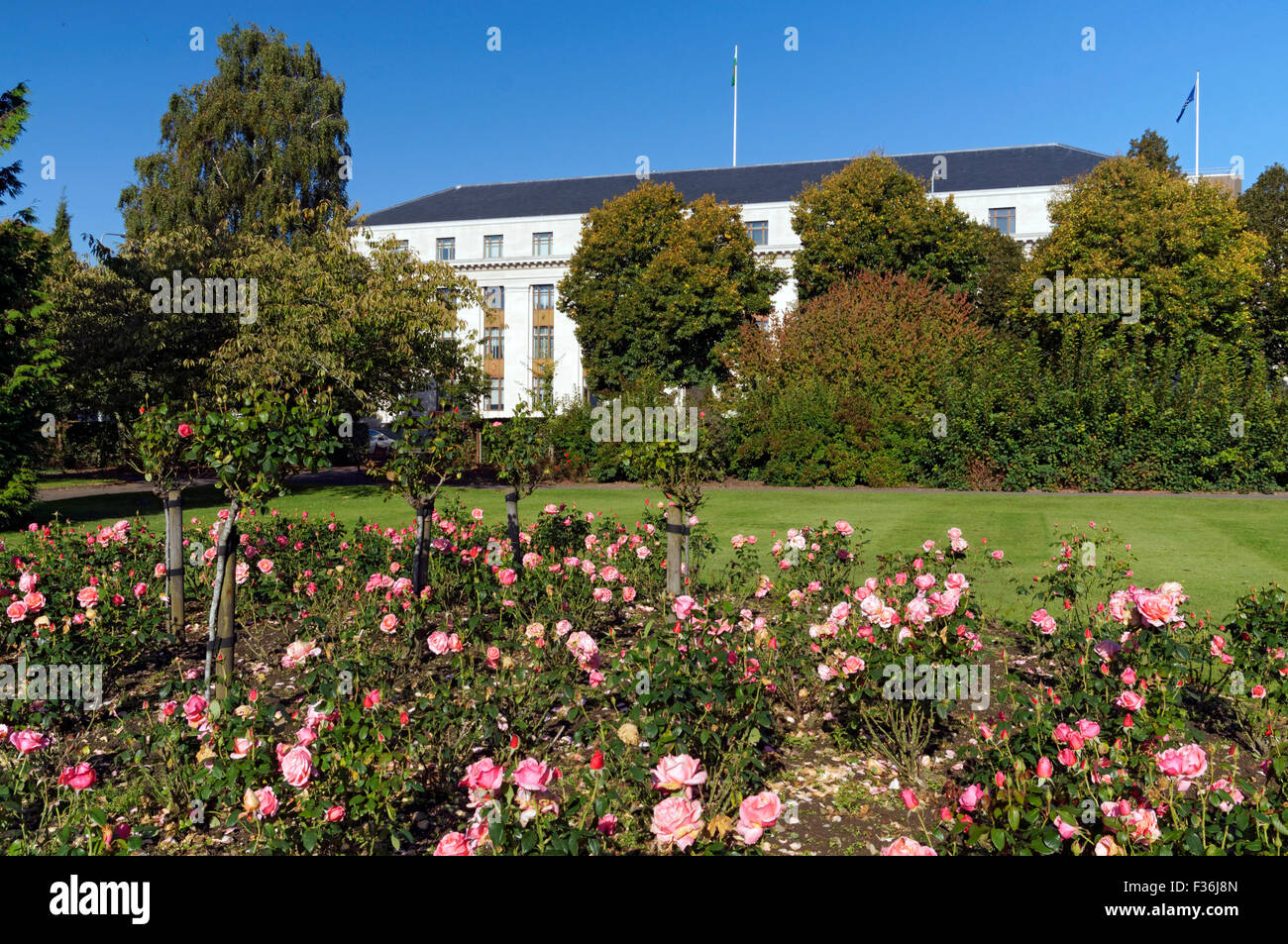 Welsh Office building, Cathays Park Cardiff presi da giardini Alexandra, Wales, Regno Unito. Foto Stock