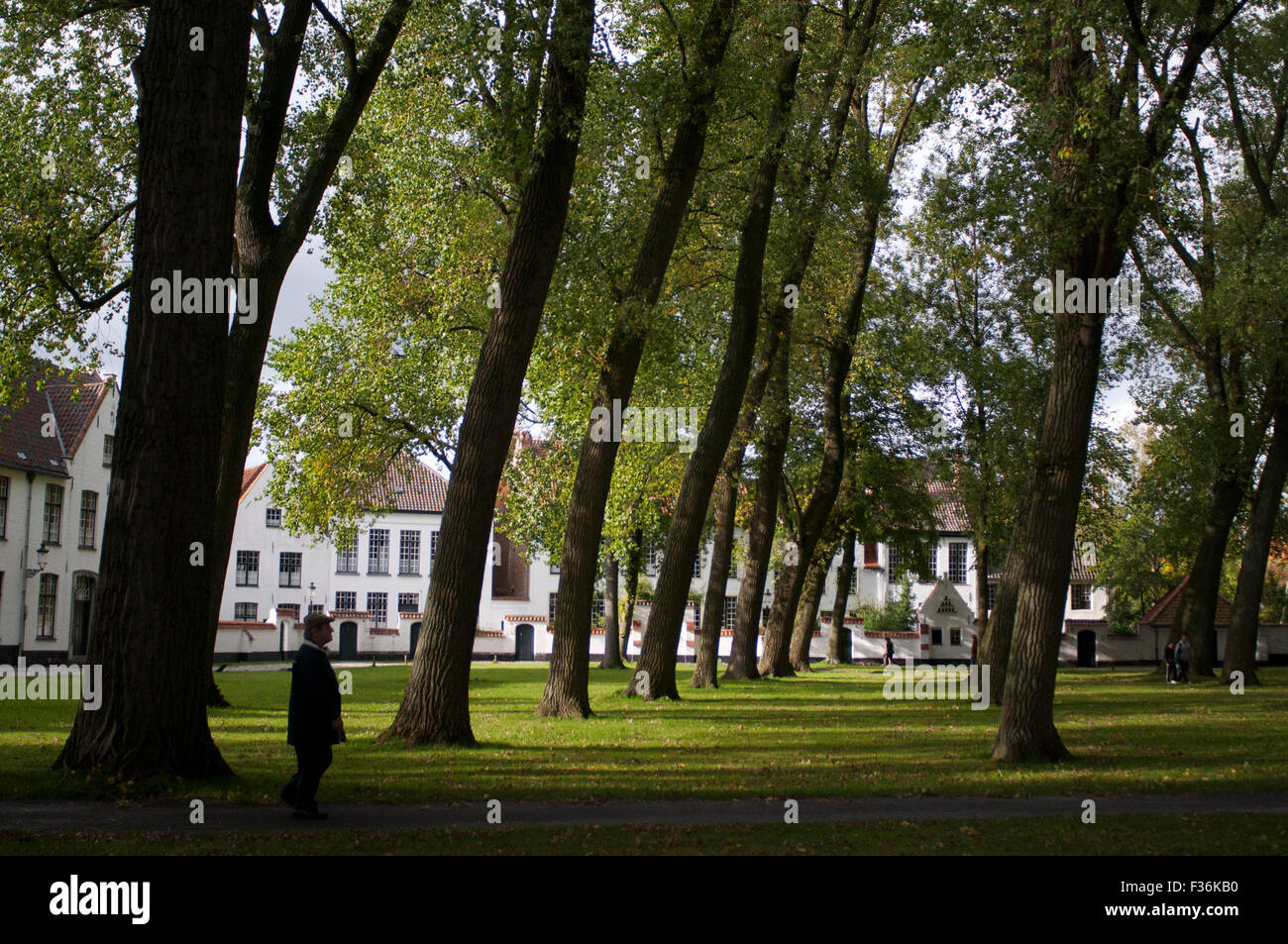 Appena dietro il Minnewater si trova il Beguinage 'De Wijngaard" (= il vigneto). Si tratta di una di quelle aree tipiche di Bruges dove Foto Stock