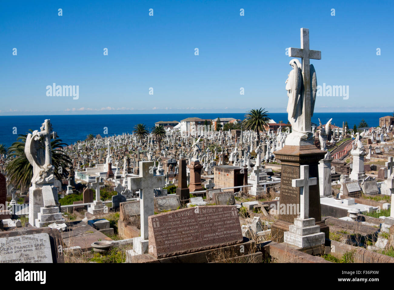 Cimitero di Waverley e Mare di Tasman Oceano Pacifico Sydney NSW Australia Foto Stock