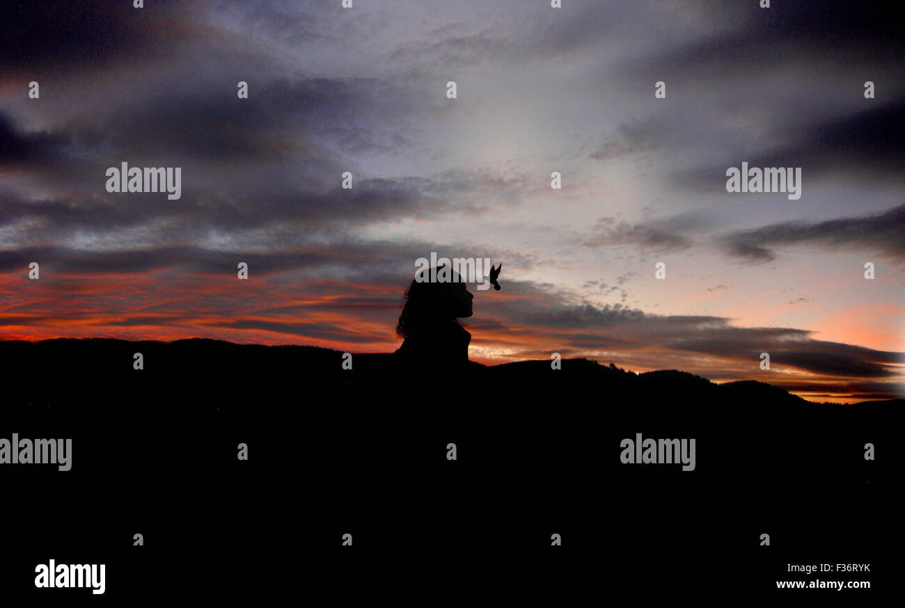 Ragazza in cerca di un po' di bird al cielo notturno cielo arancione quasi tardi bellissimo cielo Foto Stock