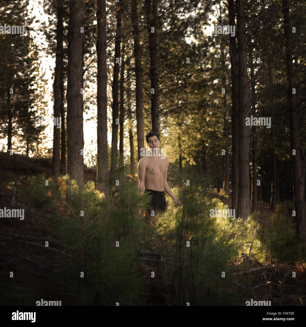 Shirtless boy nel bosco la luce del sole proveniente attraverso gli alberi concettuali Foto Stock