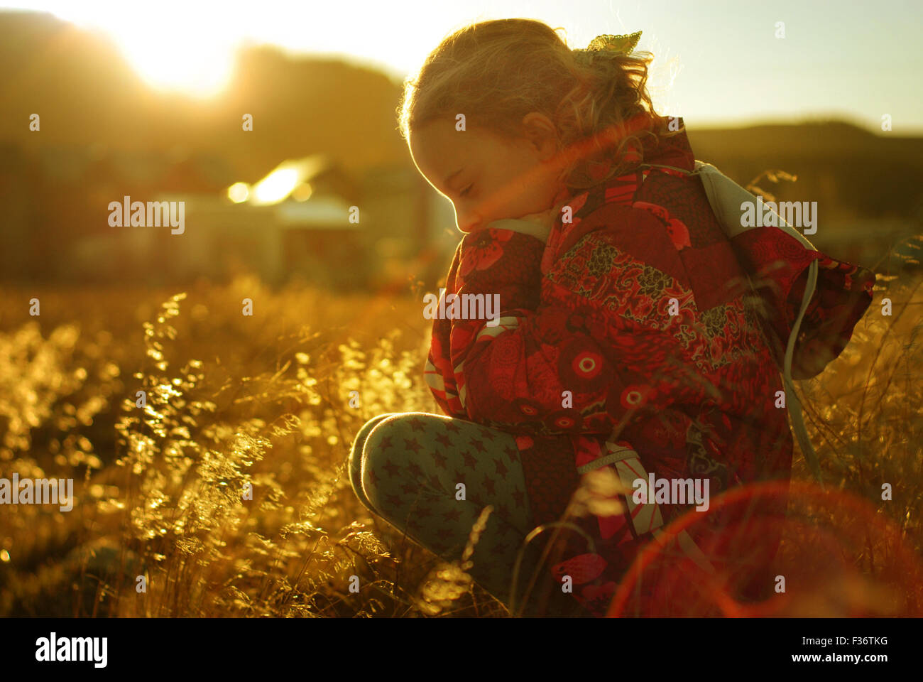 Bambina nei campi al tramonto ora d'oro Foto Stock