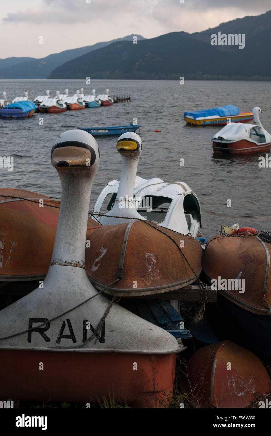 Barche Swan con barche a vela in background su un lago Foto Stock
