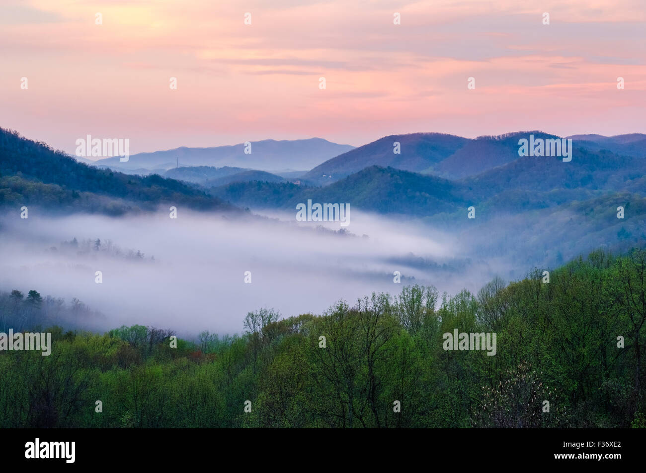 La nebbia che giace nelle valli del Parco Nazionale di Great Smoky Mountains Foto Stock