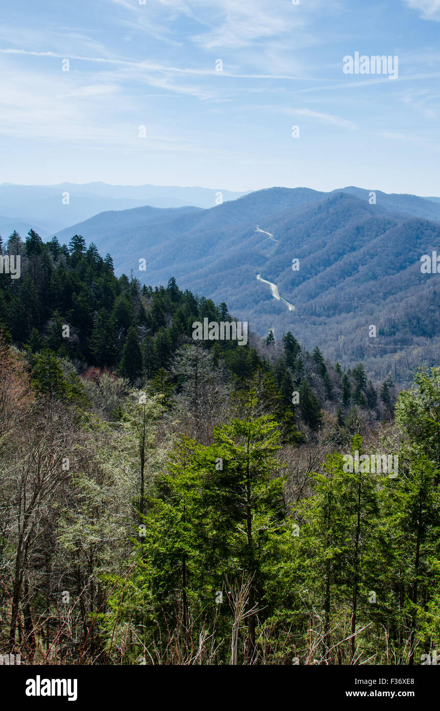 Vista dal divario ritrovata nel Parco Nazionale di Great Smoky Mountains Foto Stock