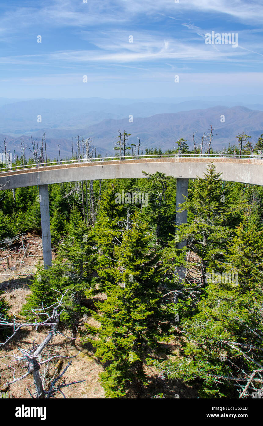 Clingman Cupola della torre di osservazione nel Parco Nazionale di Great Smoky Mountains Foto Stock