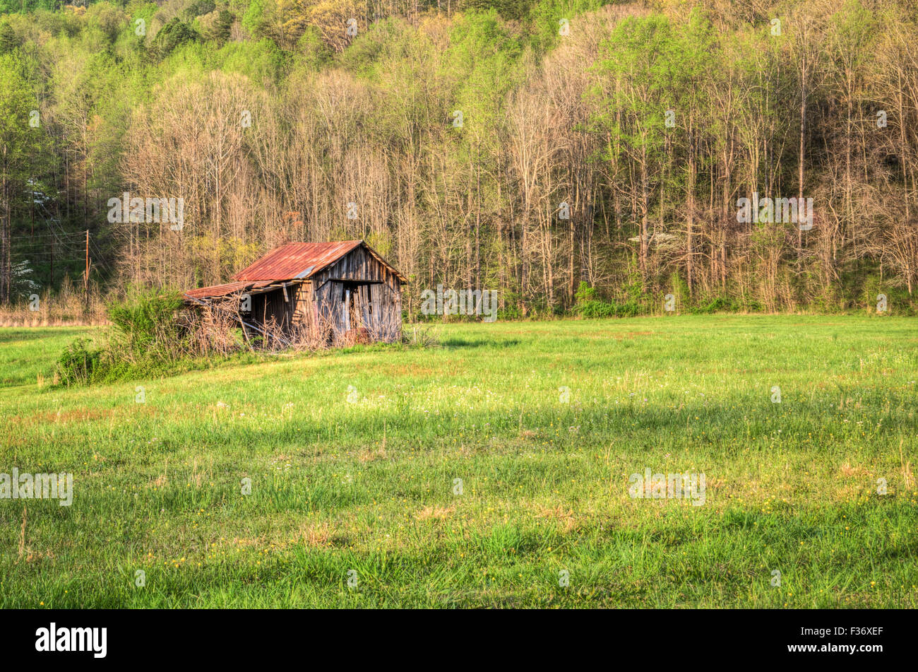 Un arrugginito vecchio fienile in Great Smoky Mountains, Tennessee Foto Stock