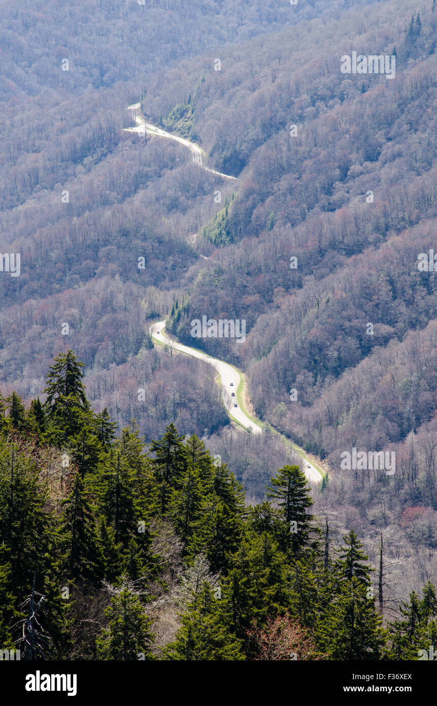 Vista dal divario ritrovata nel Parco Nazionale di Great Smoky Mountains Foto Stock