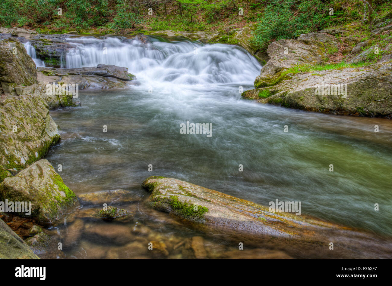 Cascate nel piccolo fiume nel Parco Nazionale di Great Smoky Mountains Foto Stock