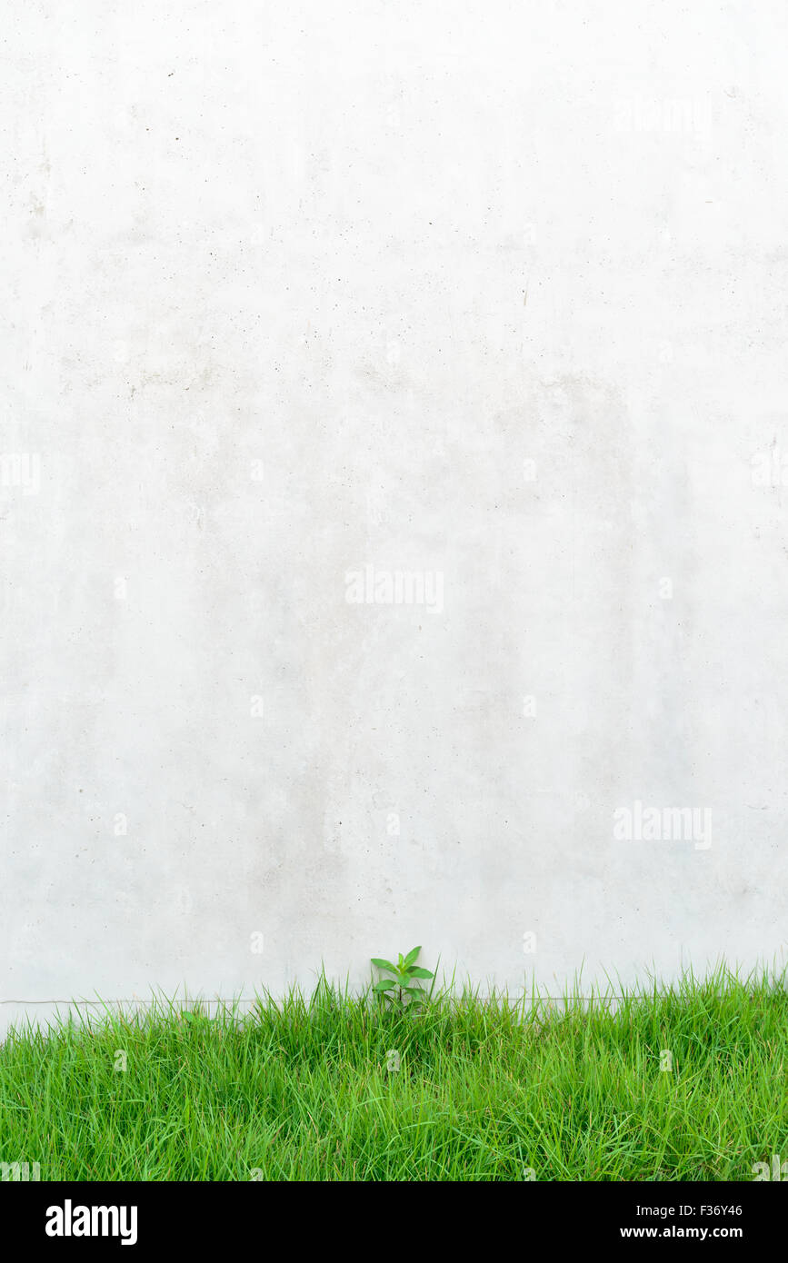 Texture di superficie di cemento esposte metodo di finitura con prato verde Foto Stock