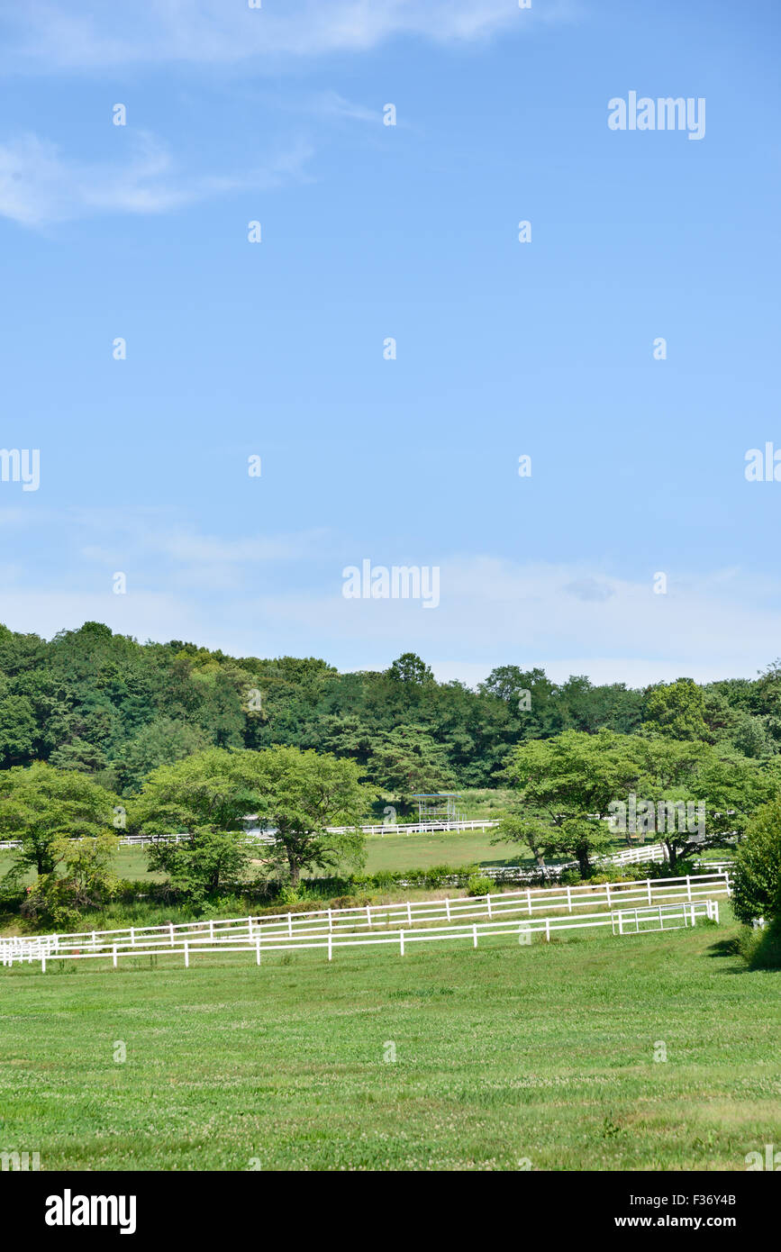 Paesaggio di cavallo ranch con recinto bianco in una giornata di sole Foto Stock