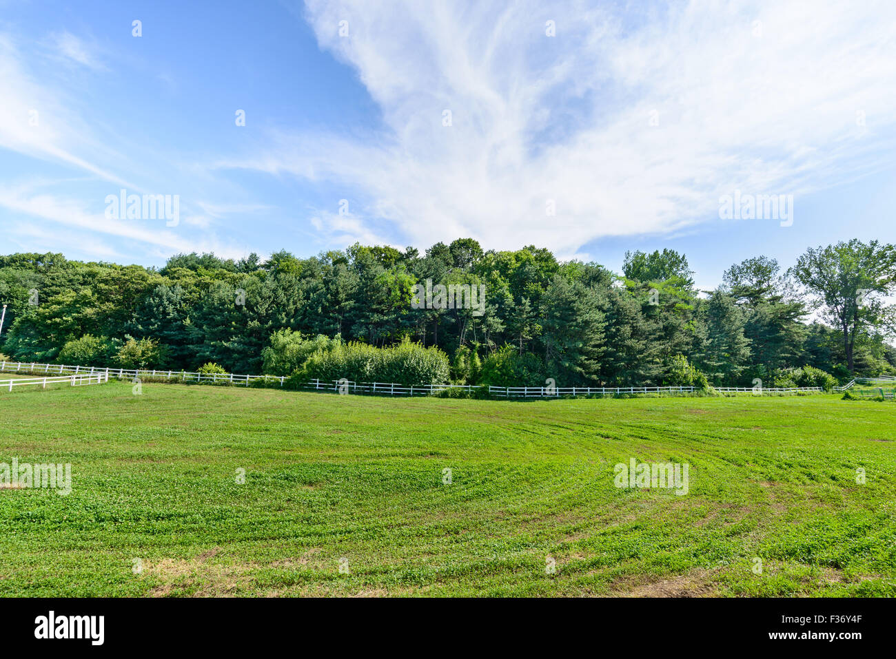 Paesaggio di cavallo ranch con recinto bianco in una giornata di sole Foto Stock
