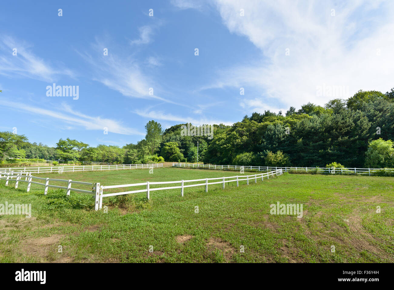 Paesaggio di cavallo ranch con recinto bianco in una giornata di sole Foto Stock