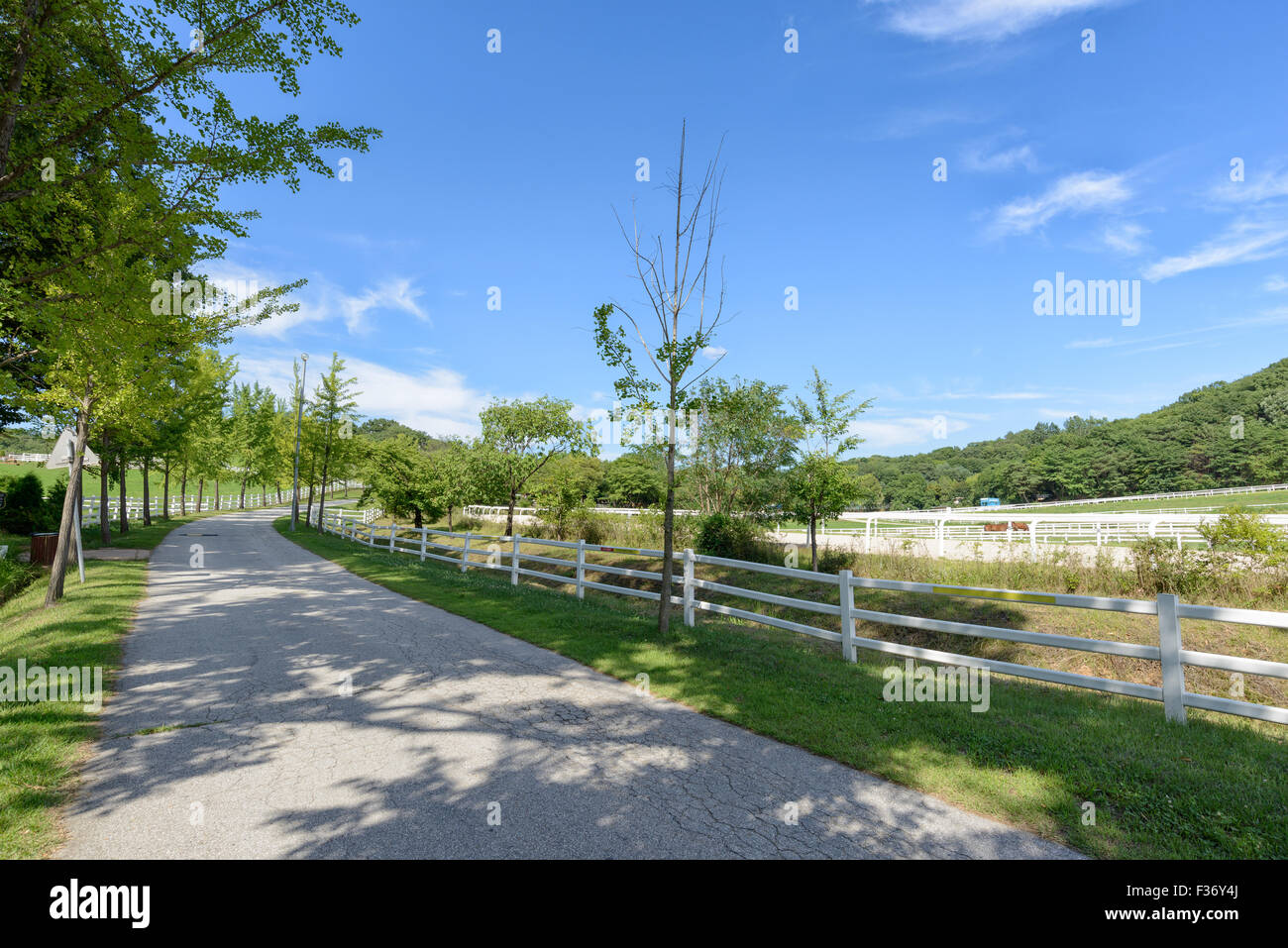 Strada in un ranch di cavalli con recinto bianco in una giornata di sole Foto Stock