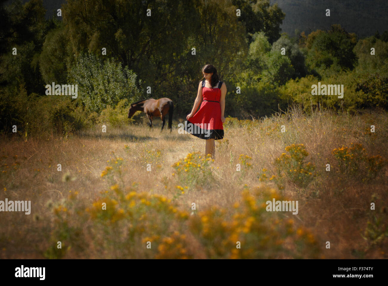 Ragazza con abito rosso in un campo con un cavallo Foto Stock