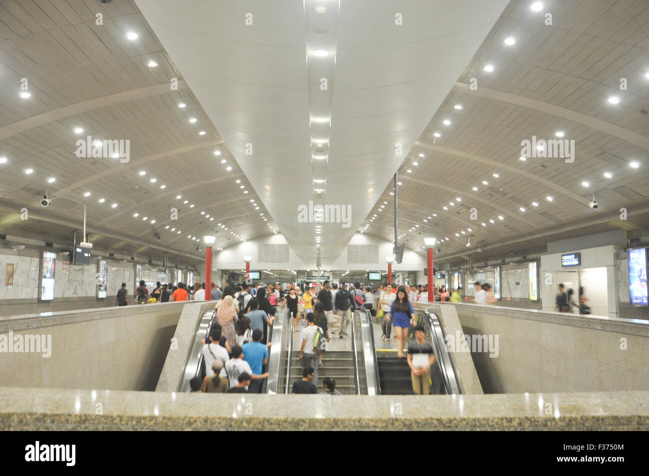 Lavanda dalla stazione MRT di Singapore. Foto Stock