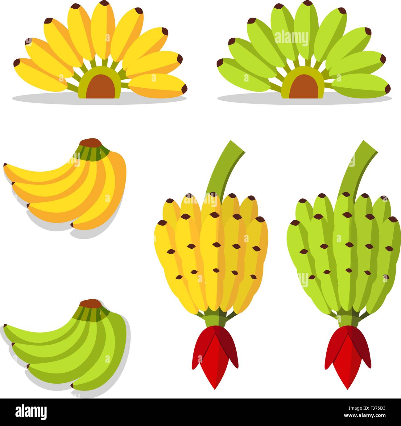 Grappolo di banane con il giallo e il colore verde Illustrazione Vettoriale