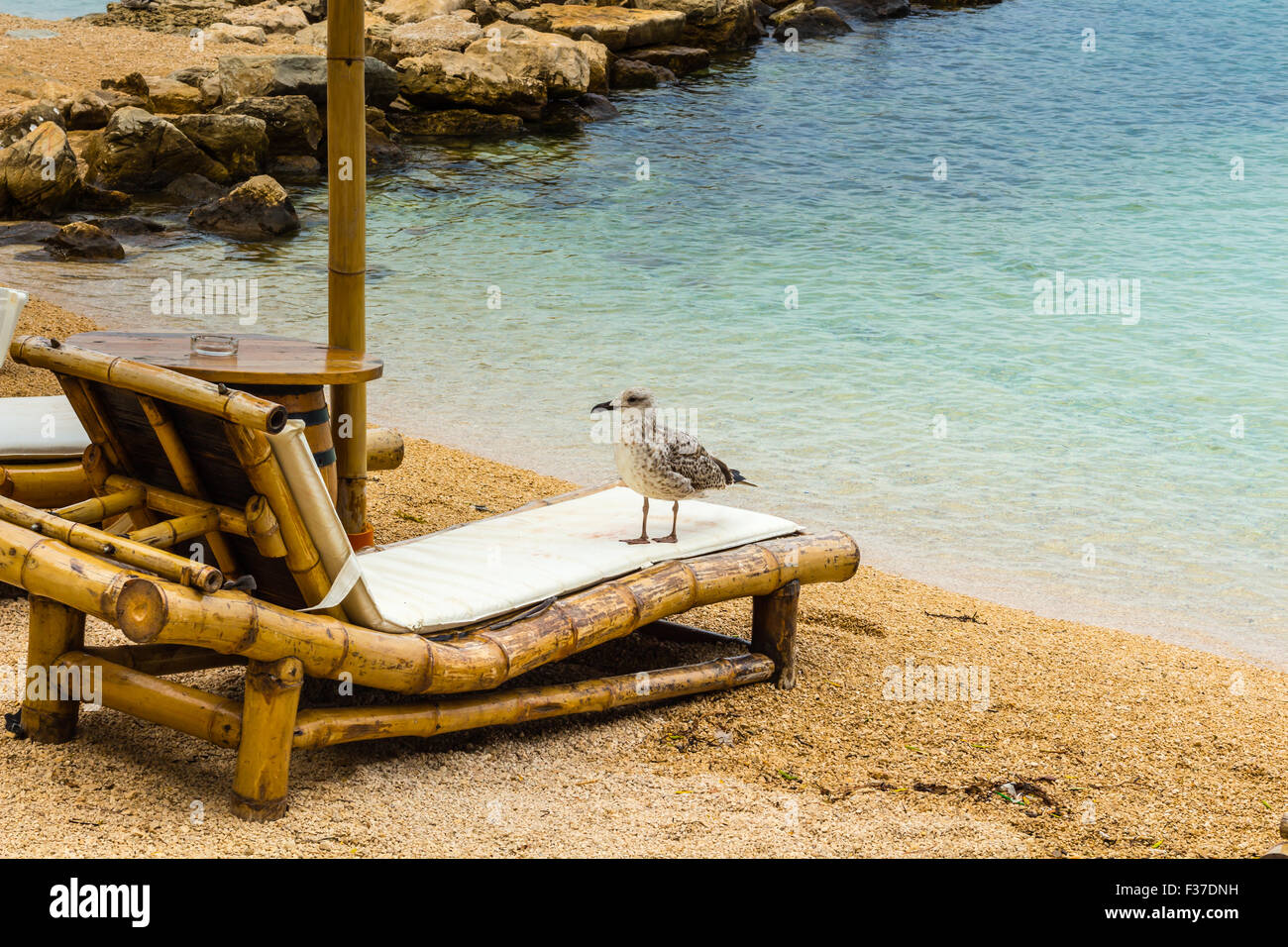 Spiaggia di sdraio e ombrelloni sulla spiaggia di sabbia. Concetto per il riposo, il relax, vacanze spa resort. Foto Stock