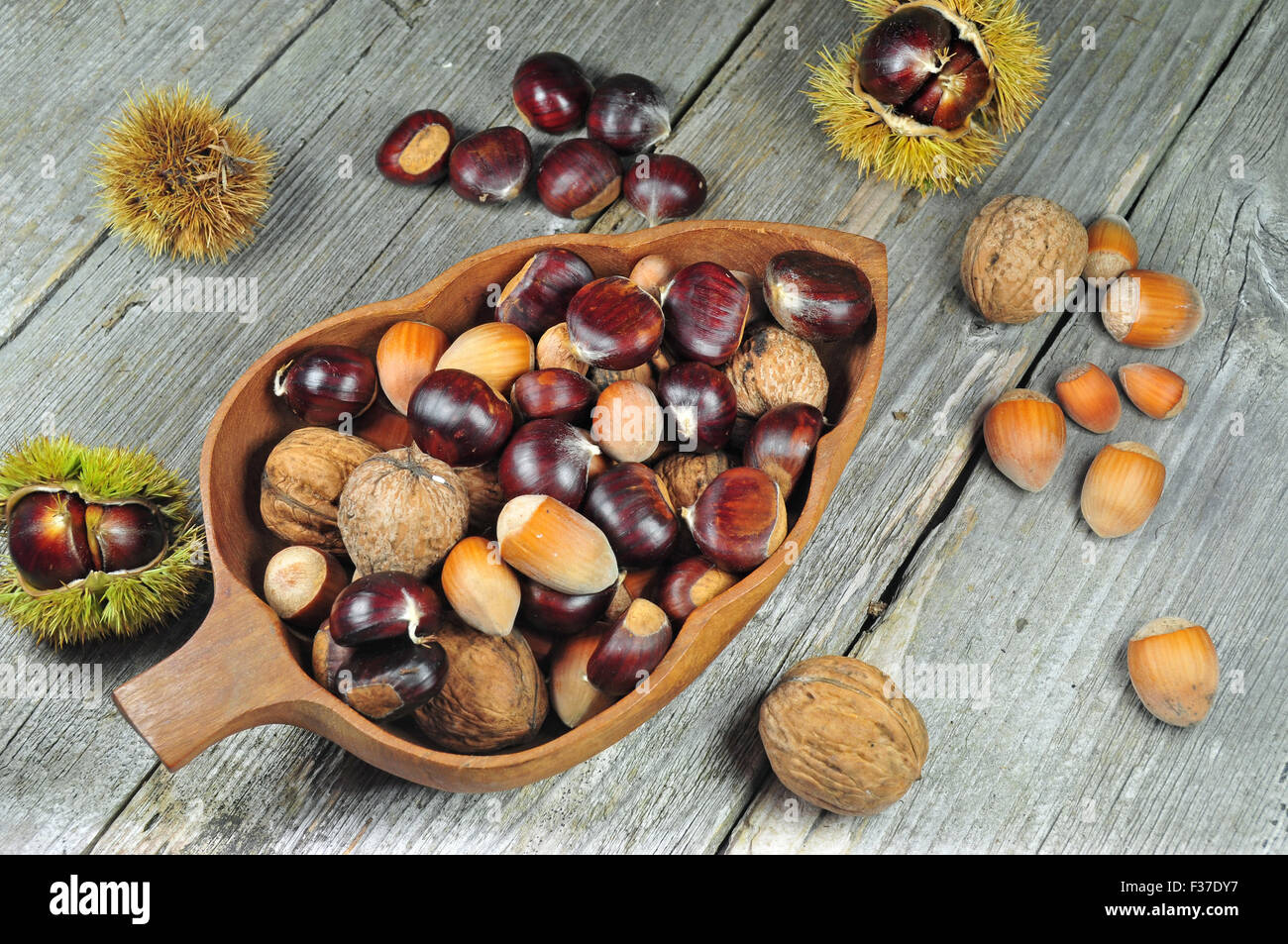 Foto di castagne e le nocciole nonché le noci comuni su un tavolo di legno Foto Stock