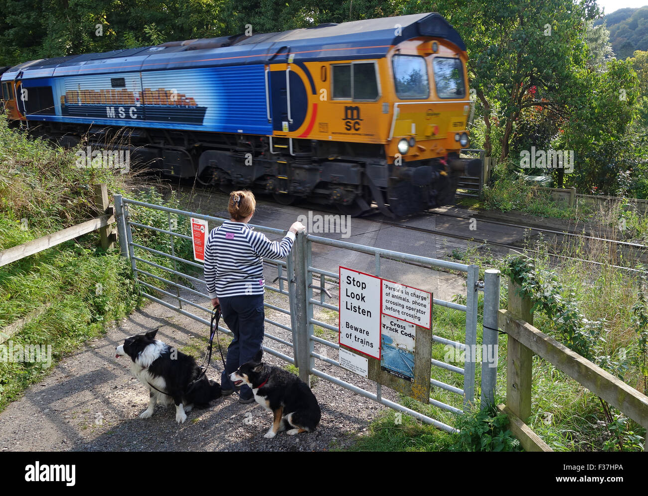 GB di merci su rotaie treno per i treni unmanned livello pedonale di attraversamento in attesa di cross di Ironbridge Regno Unito Foto Stock