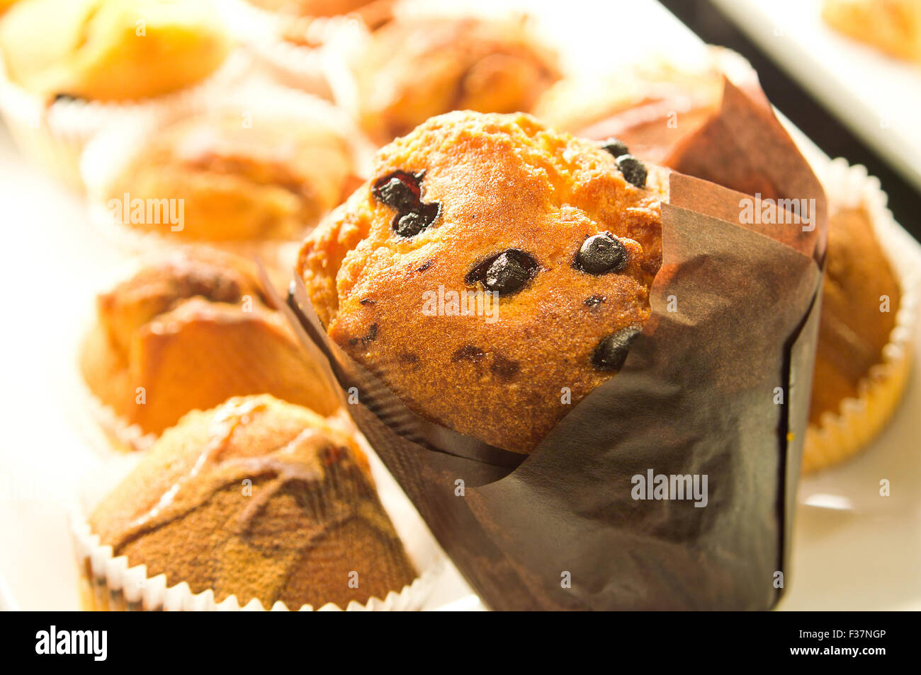 Il cibo immagine concettuale. Muffin freschi con uvetta. Foto Stock