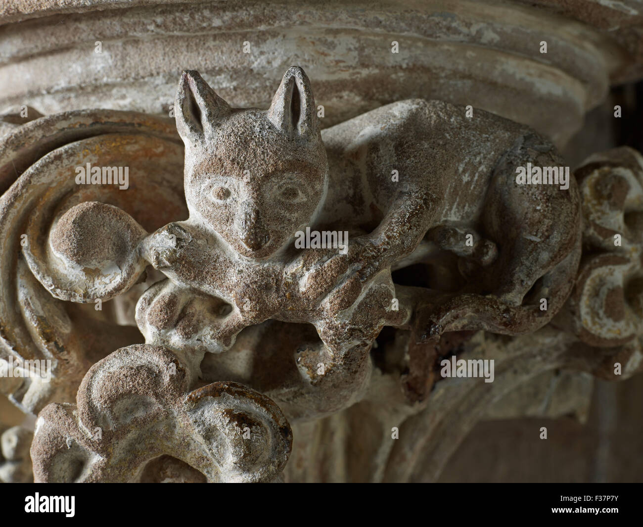 Lichfield Cathedral, gatto e topo carving Foto Stock