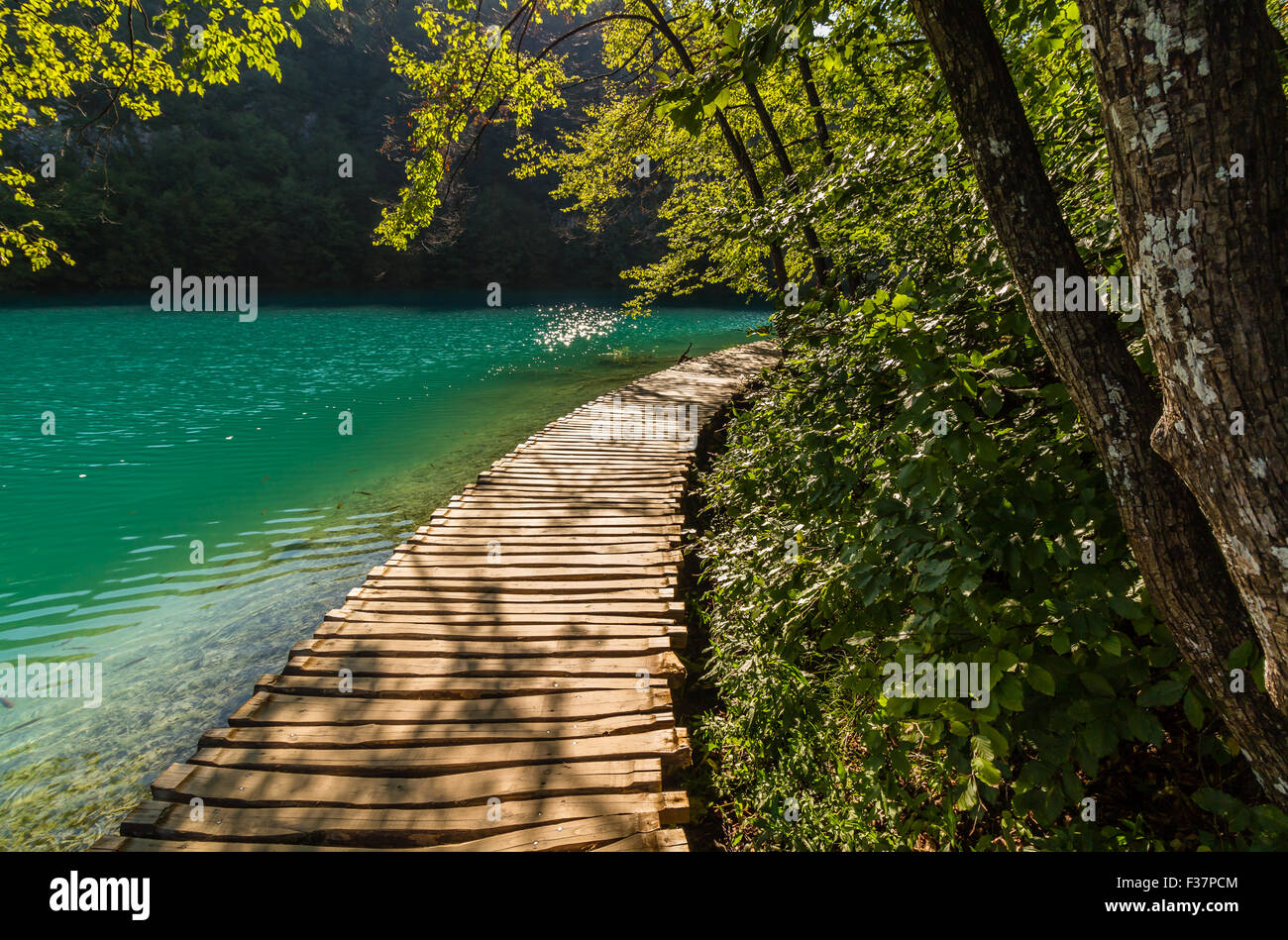 Deep Forest percorso di flusso con acque cristalline sotto il sole. I laghi di Plitvice, Croazia Foto Stock
