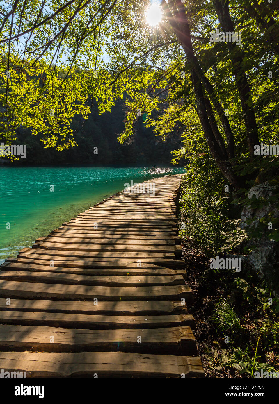 Deep Forest percorso di flusso con acque cristalline sotto il sole. I laghi di Plitvice, Croazia Foto Stock