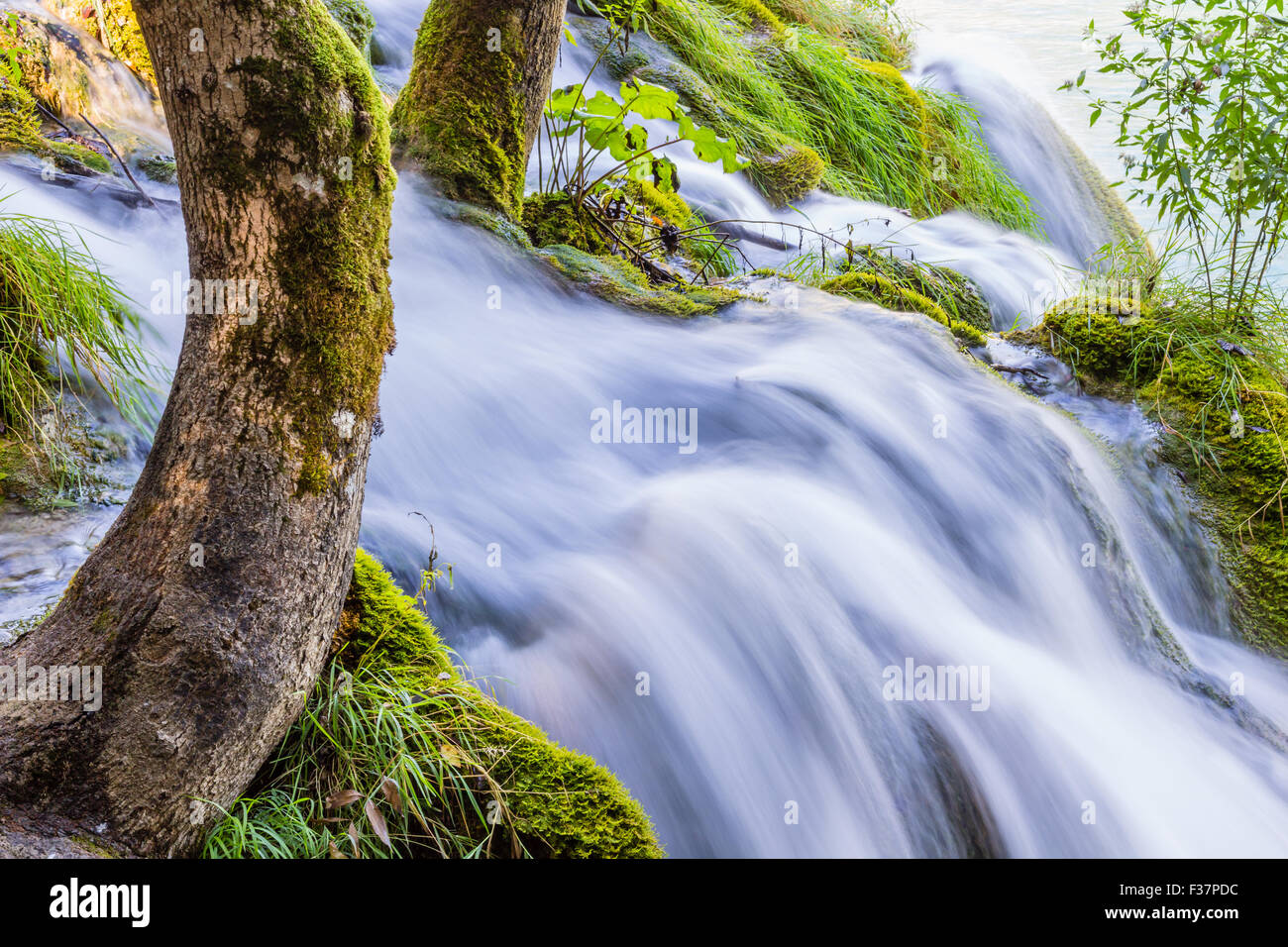 Cascate del Parco Nazionale di Plitvice, Croazia Foto Stock