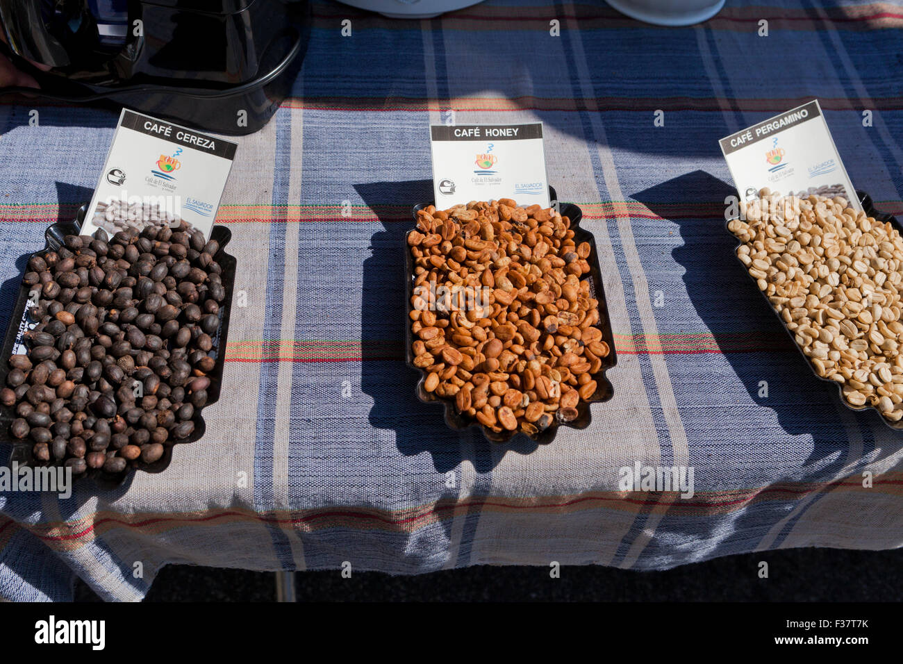 Di Salvadoran chicchi di caffè Foto Stock