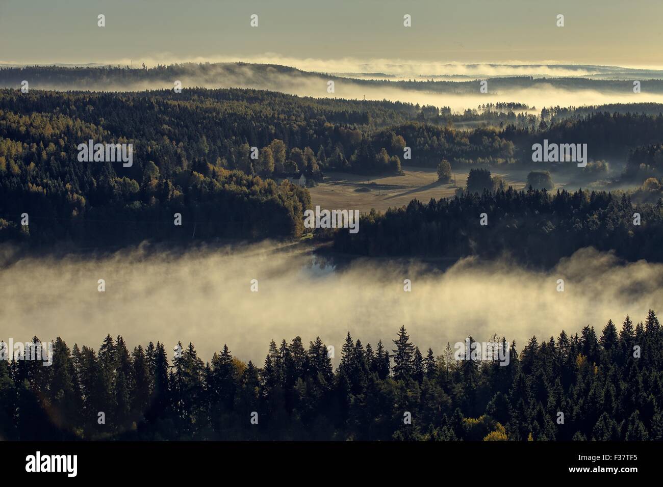 Tranquillo paesaggio di Aulanko riserva naturale parco in Finlandia. Una fitta nebbia che copre il paesaggio nelle prime ore del mattino. Immagine hdr. Foto Stock