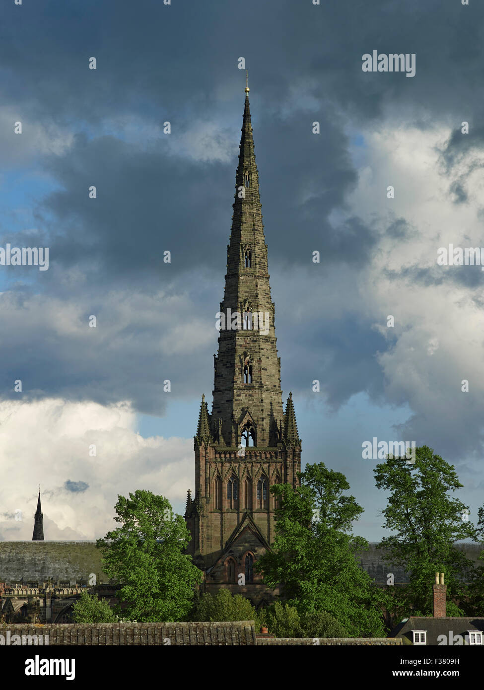 Lichfield Cathedral grande guglia Foto Stock