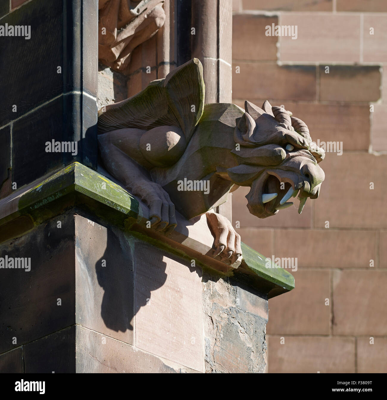 Lichfield Cathedral gargoyle Foto Stock