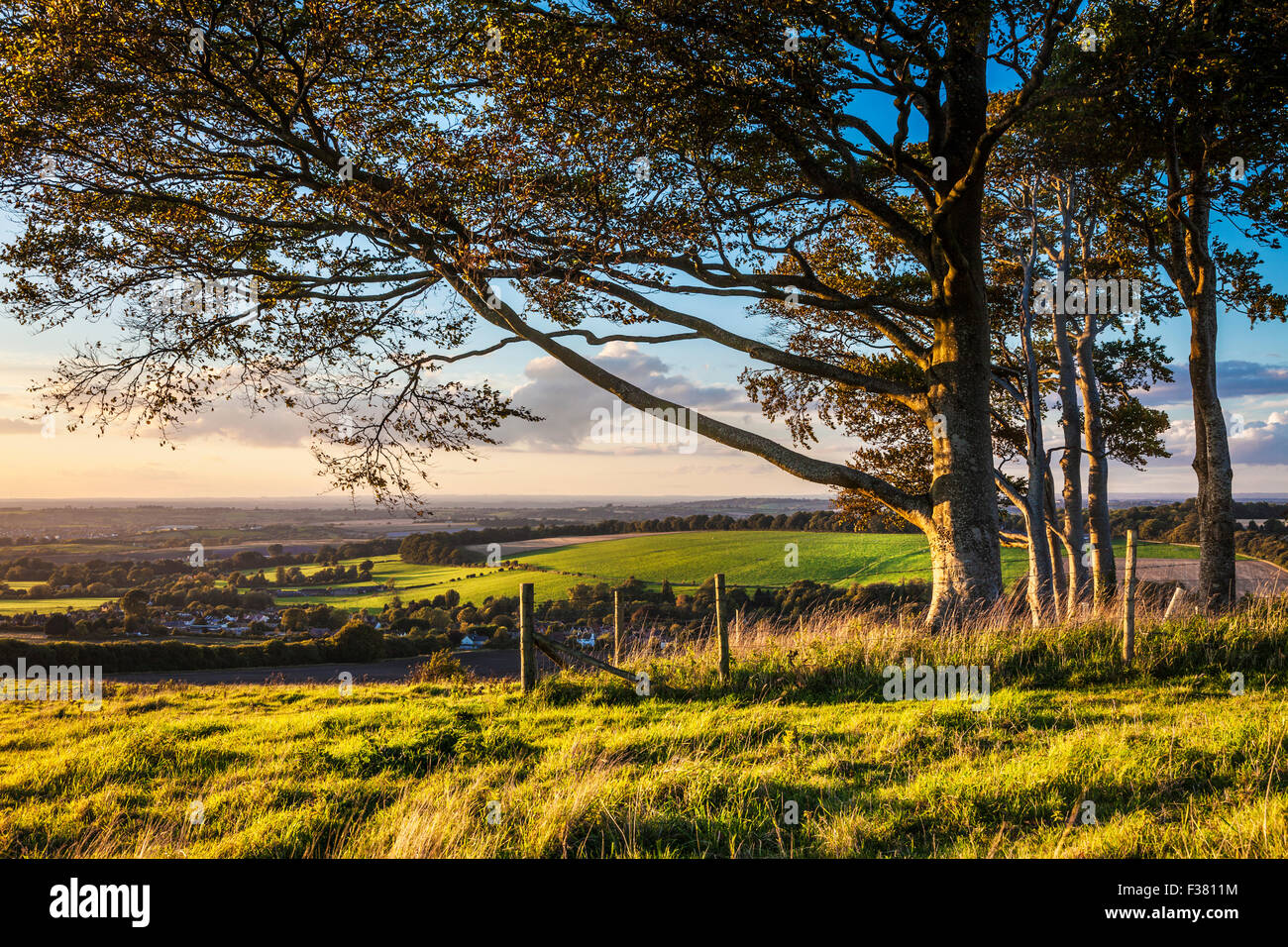 Luce della Sera sulla campagna di Wiltshire a Cherhill. Foto Stock