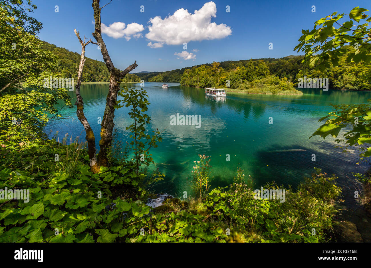 Natura vergine del parco nazionale dei laghi di Plitvice, Croazia Foto Stock