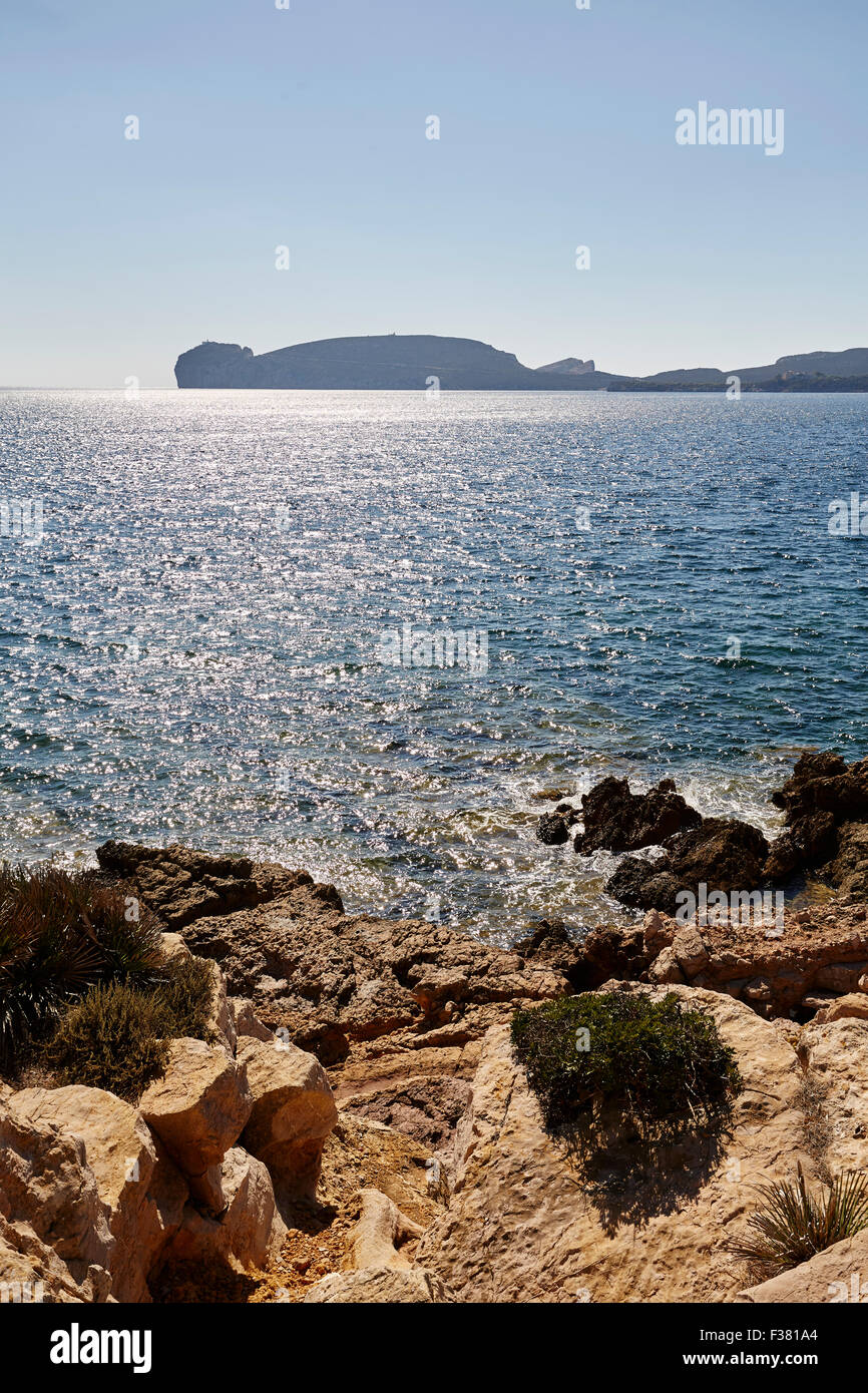 Vista di Capo Caccia da Porto Conte Foto Stock