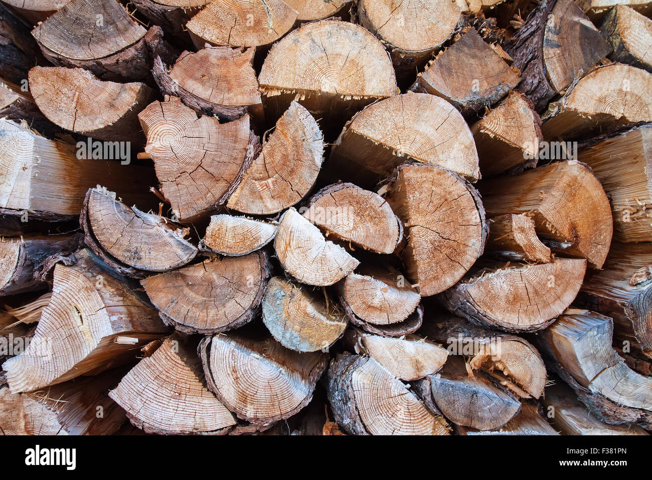 Modello di legname di legno di pino Alpi austriache Foto Stock