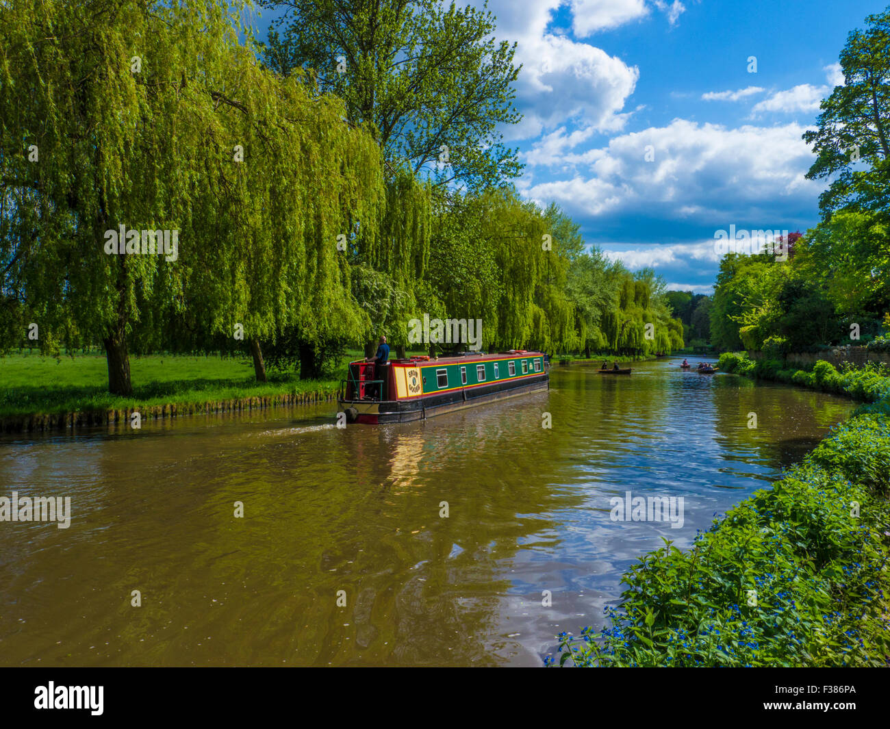 Gite in barca sul fiume Wey a Guildford, Surrey in Inghilterra Foto Stock